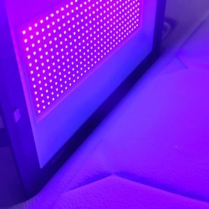300 Ultraviolet Lamp ( DETECTION & ADVANCED STAIN REMOVAL)